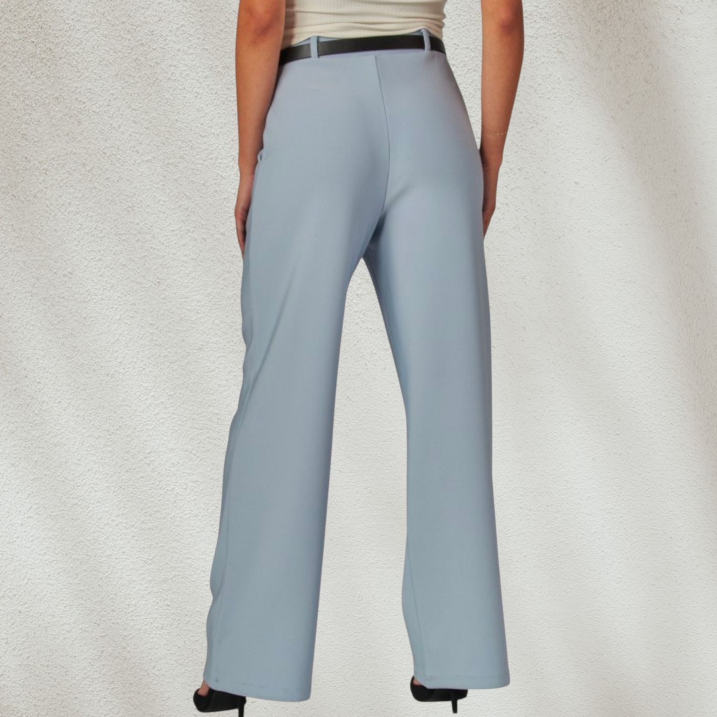 Camila High Rise Wide Leg Belted Pants